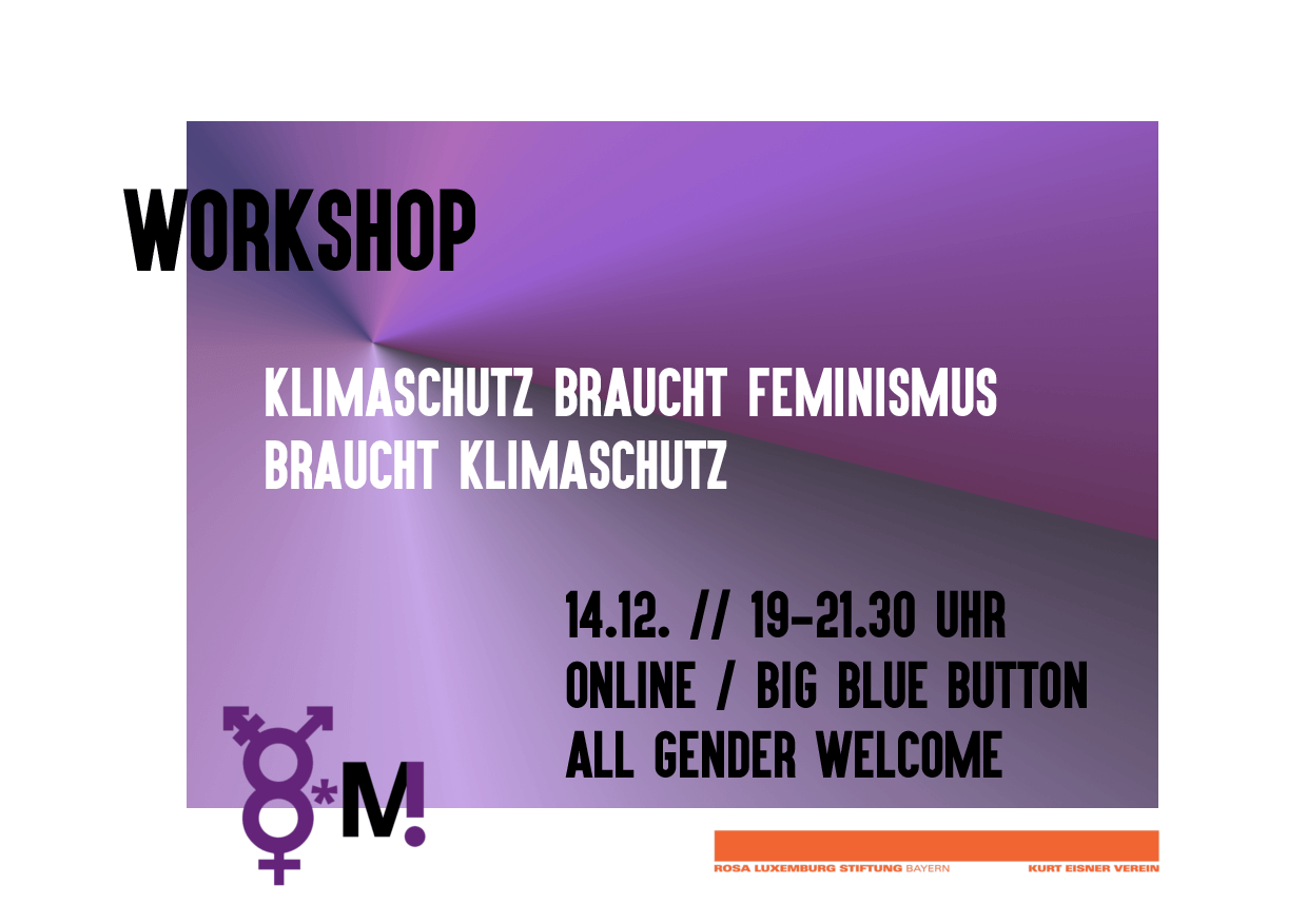 Online-Workshop zu Klimagerechtigkeit & Feminismus